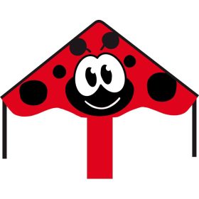 Eco Line Simple Flyer Ladybug sárkány