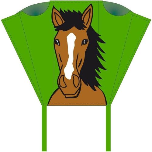 Pocket Sled Bronco sárkány