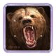 Ball Puzzles Magna Grizzly medve Cheatwell golyós logikai játék