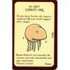 Munchkin alapjáték - magyar kiadás