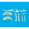 Glow Dinók - Triceratops csontváz foszforeszkáló építő szett