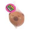 COOL MIX Capybara head
