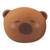 COOL MIX Capybara head